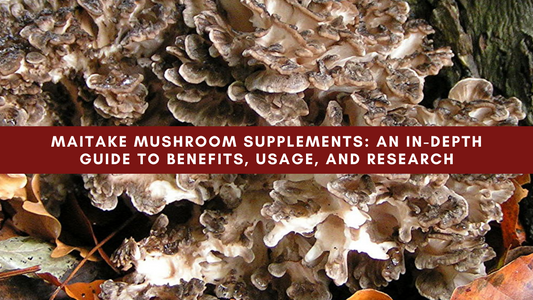Maitake Mushroom Supplements: An In-Depth Guide to Benefits, Usage, and Research