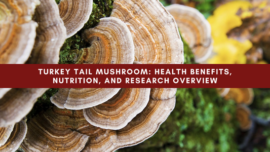 Turkey Tail Mushroom: Health Benefits, Nutrition, and Research Overview