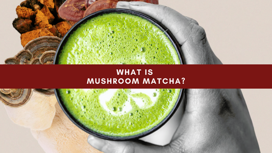 What is Mushroom Matcha?