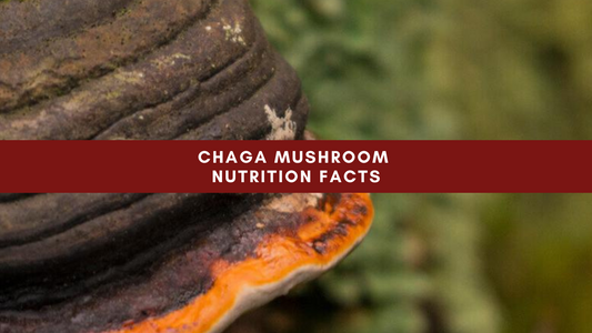 Chaga Mushroom Nutrition Facts