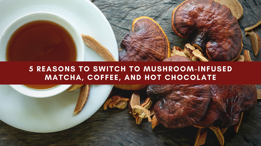 5 Reasons to Switch to Mushroom-Infused Matcha, Coffee, and Hot Chocolate