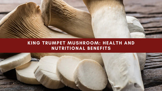 King Trumpet Mushroom: Health and Nutritional Benefits - Mushendo Organic Farm