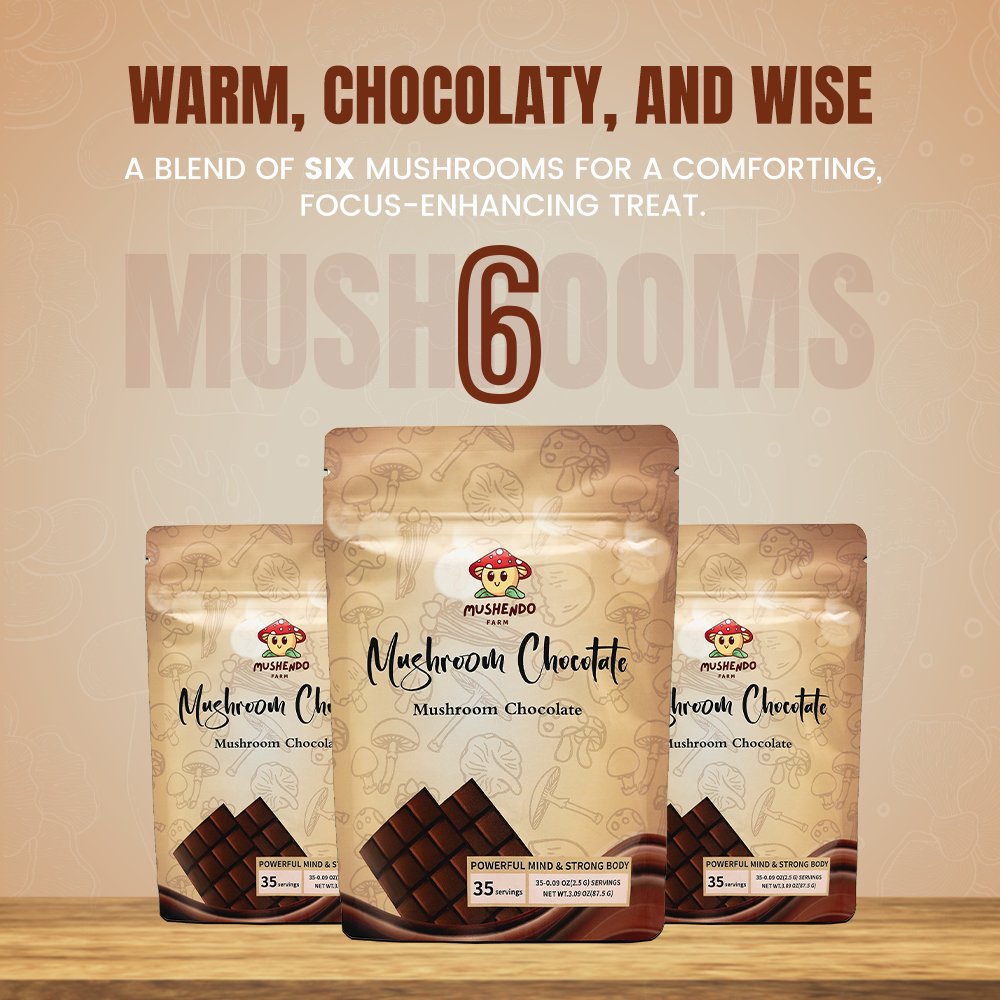 Mushendo 6 Mushroom Cacao | Hot Chocolate | Sugar Free | 3.02 Oz (87.5 G) | 35 Servings - Mushendo Organic Farm