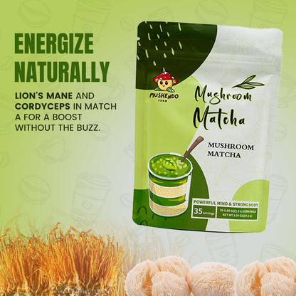 Mushendo 6 Mushroom Matcha | 3.02 Oz (87.5 G) | 35 Servings - Mushendo Organic Farm