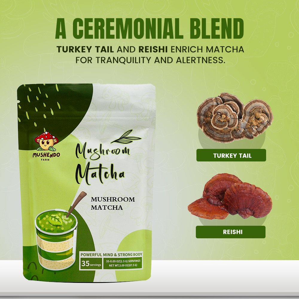 Mushendo 6 Mushroom Matcha | 3.02 Oz (87.5 G) | 35 Servings - Mushendo Organic Farm