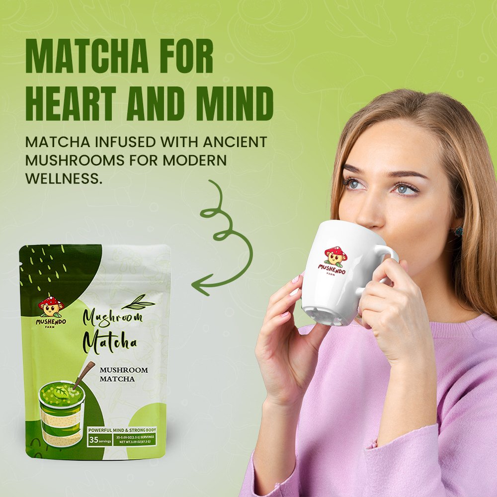 Mushendo 6 Mushroom Matcha | 3.02 Oz (87.5 G) | 35 Servings - Mushendo Organic Farm