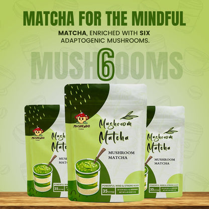 Mushendo 6 Mushroom Matcha | 3.02 Oz (87.5 G) | 35 Servings - Mushendo Organic Farm