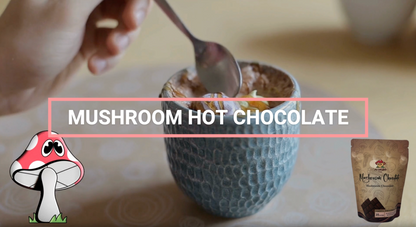 Mushendo 6 Mushroom Cacao | Hot Chocolate | Sugar Free | 3.02 Oz (87.5 G) | 35 Servings