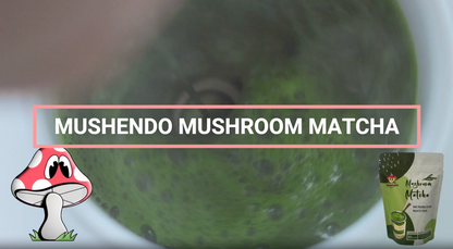 Mushendo 6 Mushroom Matcha | 3.02 Oz (87.5 G) | 35 Servings